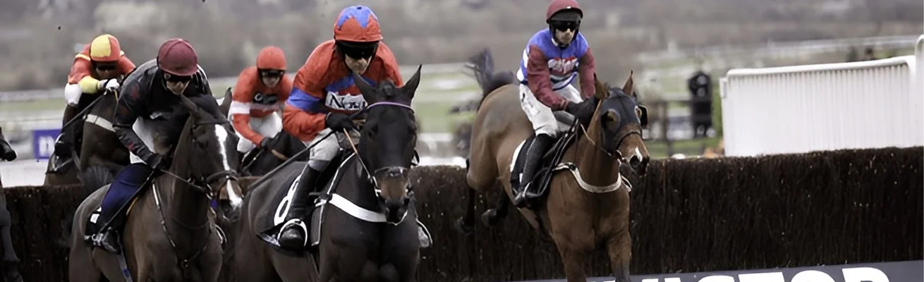 why-book-a-chauffeur-for-the-cheltenham-festival-2026