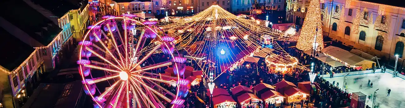 winter-wonderland-with-a-professional-chauffeur