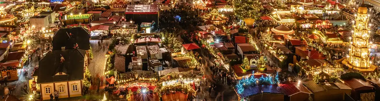 winter-wonderland-with-a-professional-chauffeur2