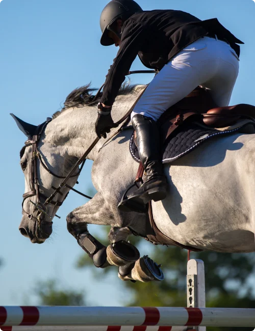 MARS Badminton Horse Trials Chauffeur Hire London