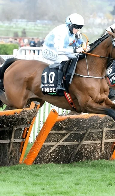 Cheltenham Festival Chauffeur