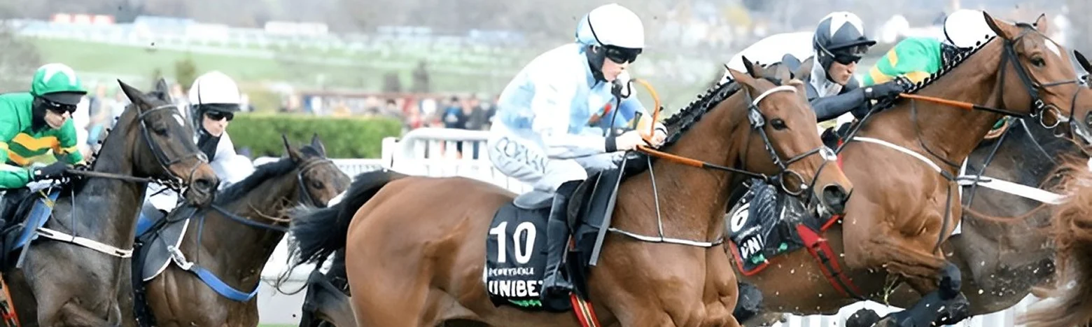 why-book-a-chauffeur-for-the-cheltenham-festival-2026